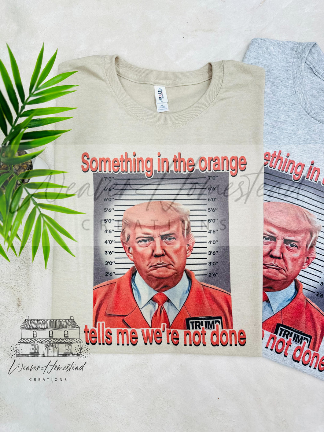 Something In The Orange - TRUMP