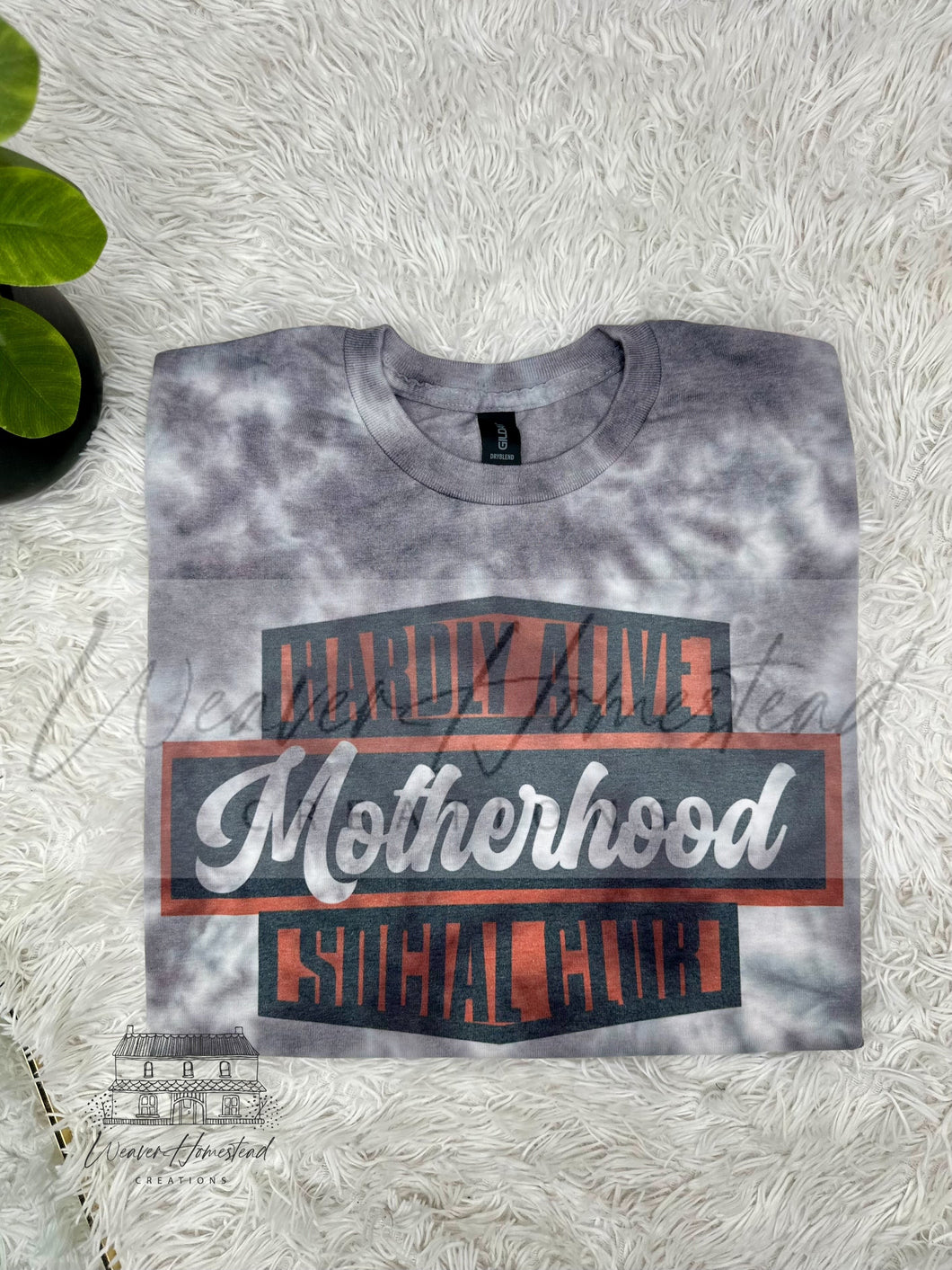 Barely Alive Motherhood