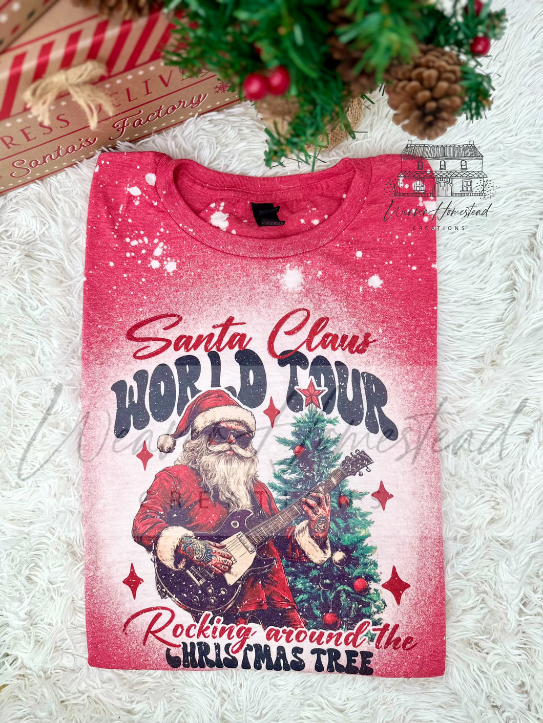 Santa Clause World Tour
