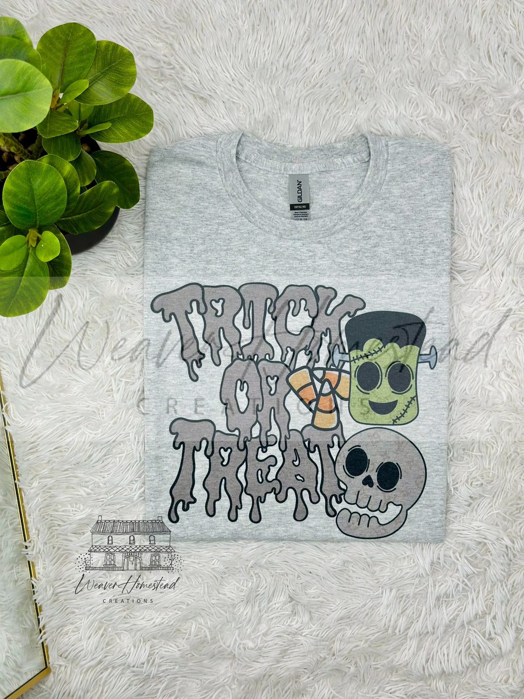 Trick Or Treat Designer Skulls