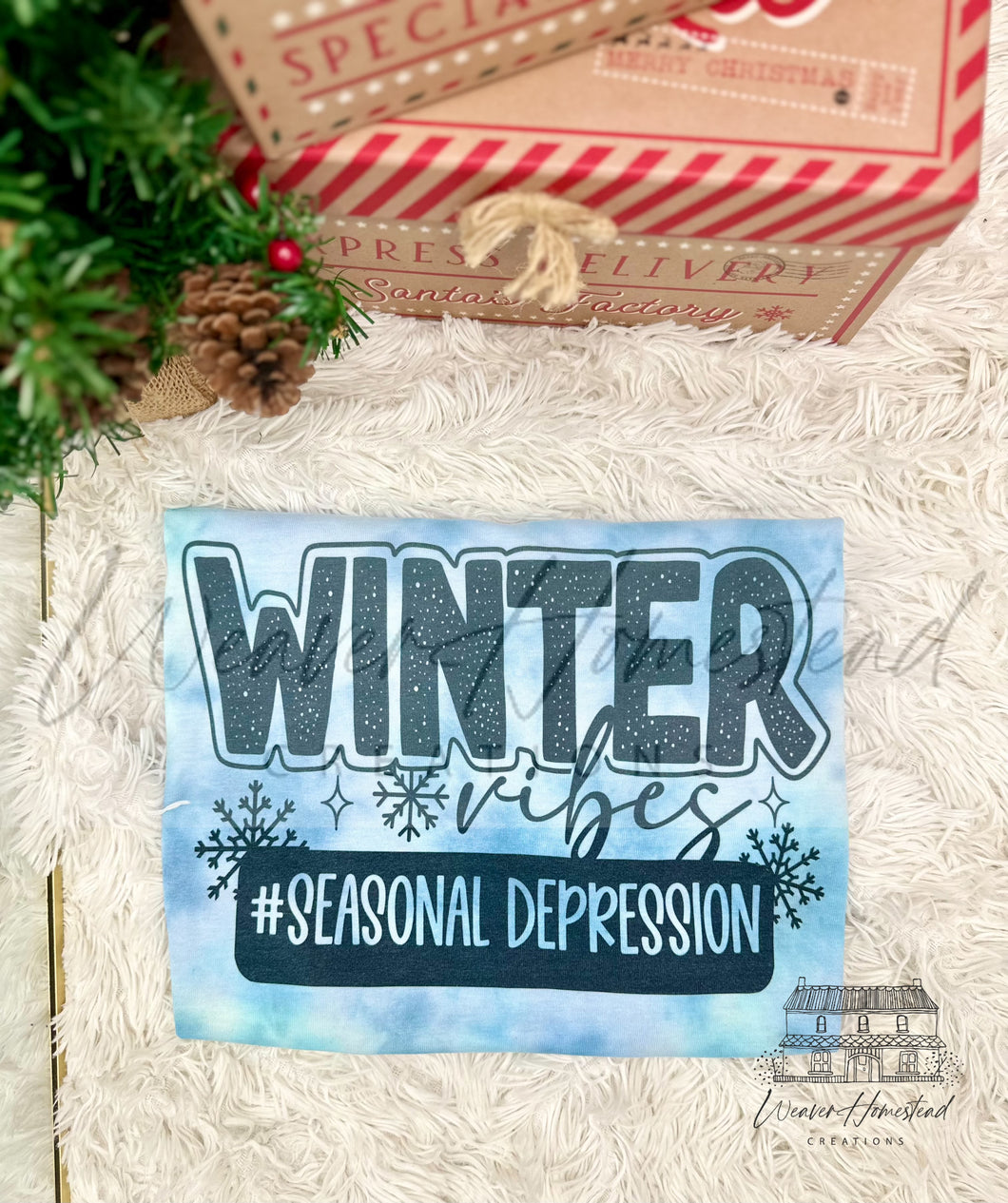 Winter Vibes Seasonal Depression