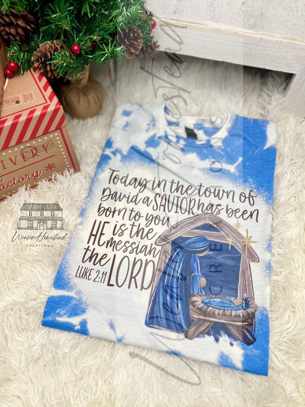 A Savior Was Born - Luke 2:11