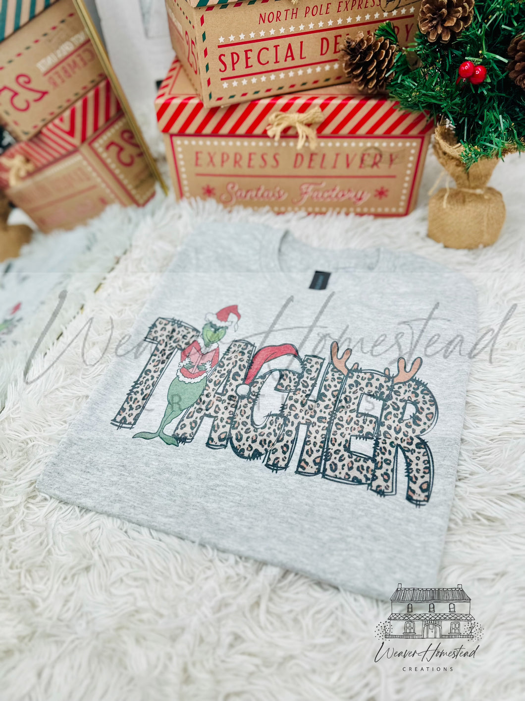 Leopard Christmas Teacher w/ Grinch