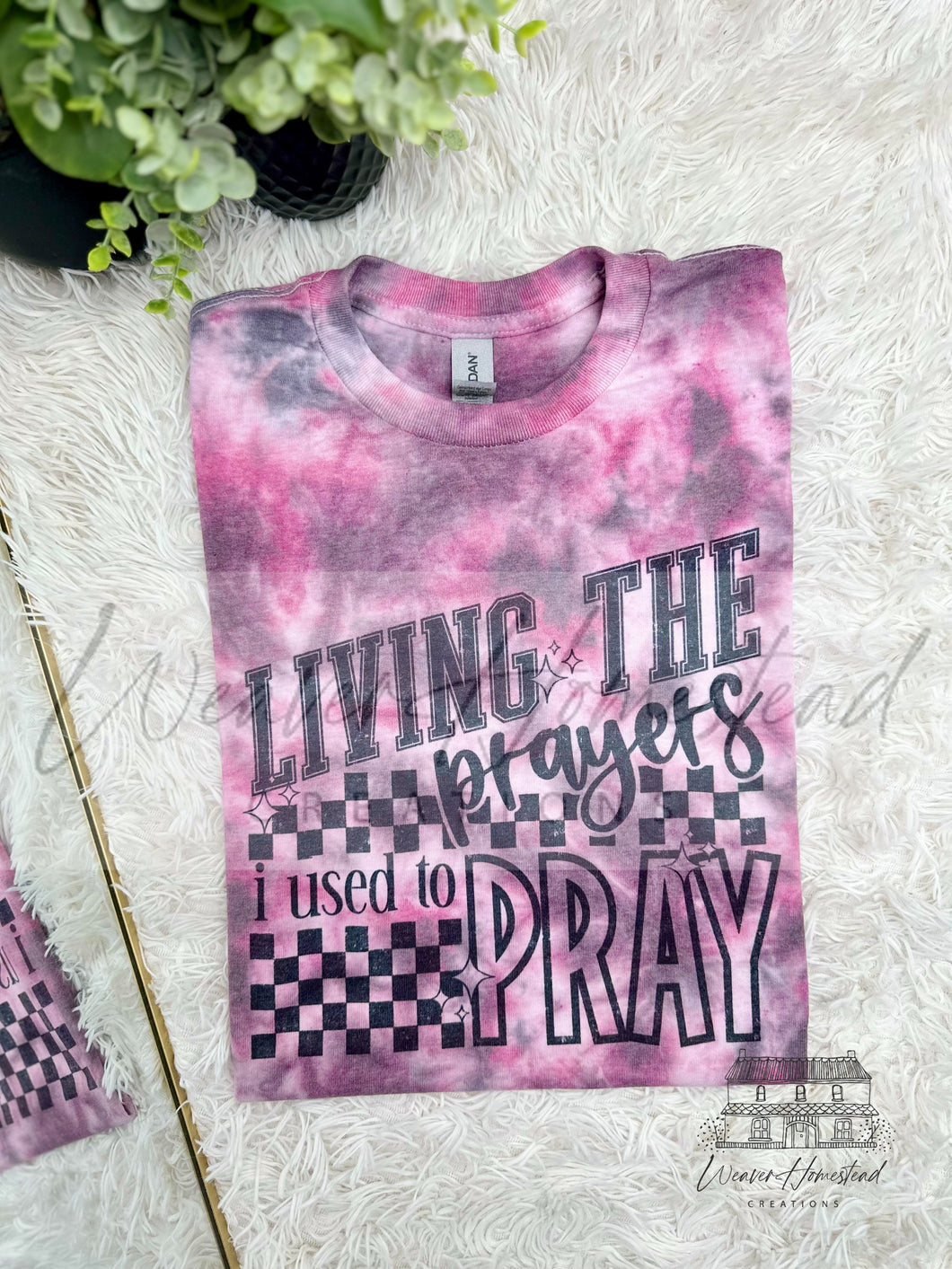 Living The Prayers I Used To Pray