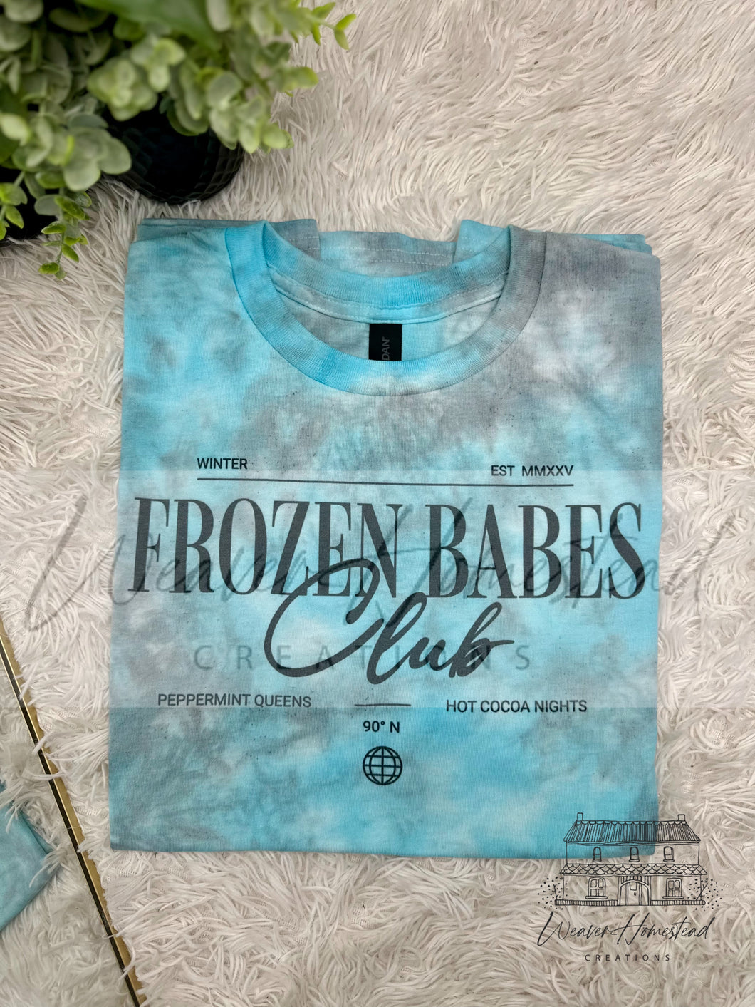 Frozen Babes Club