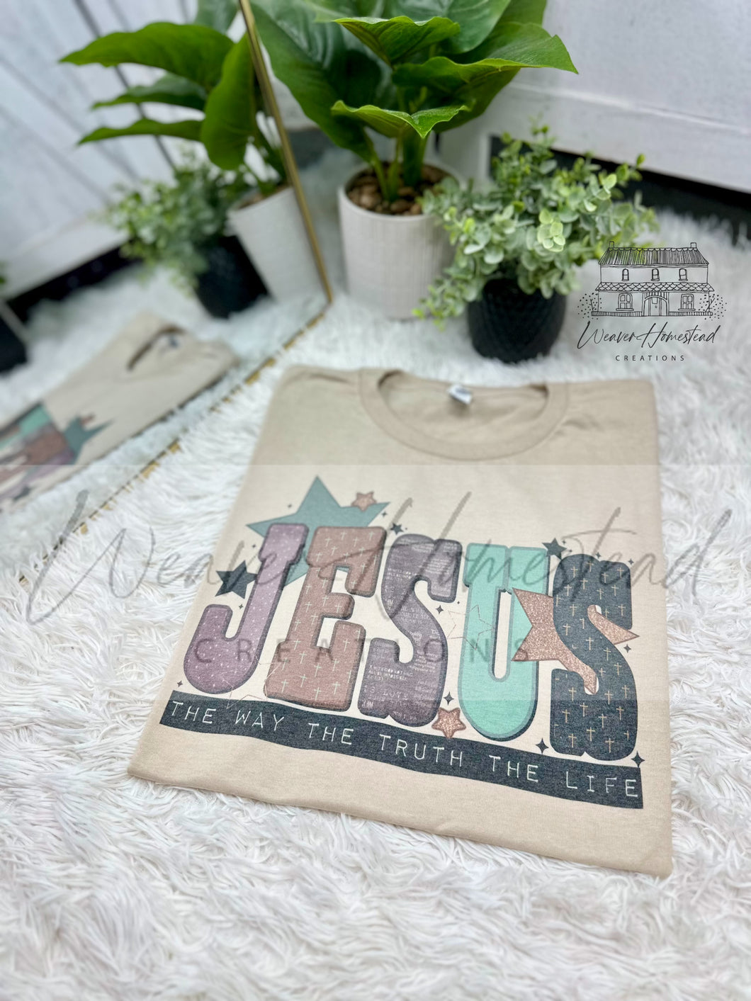 Jesus : The Way The Truth The Life