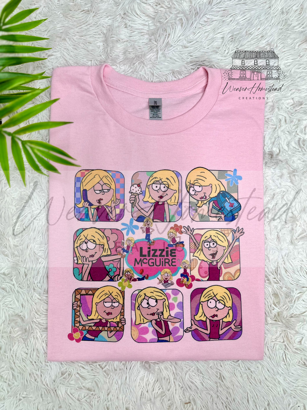 Lizzie McGuire Tour