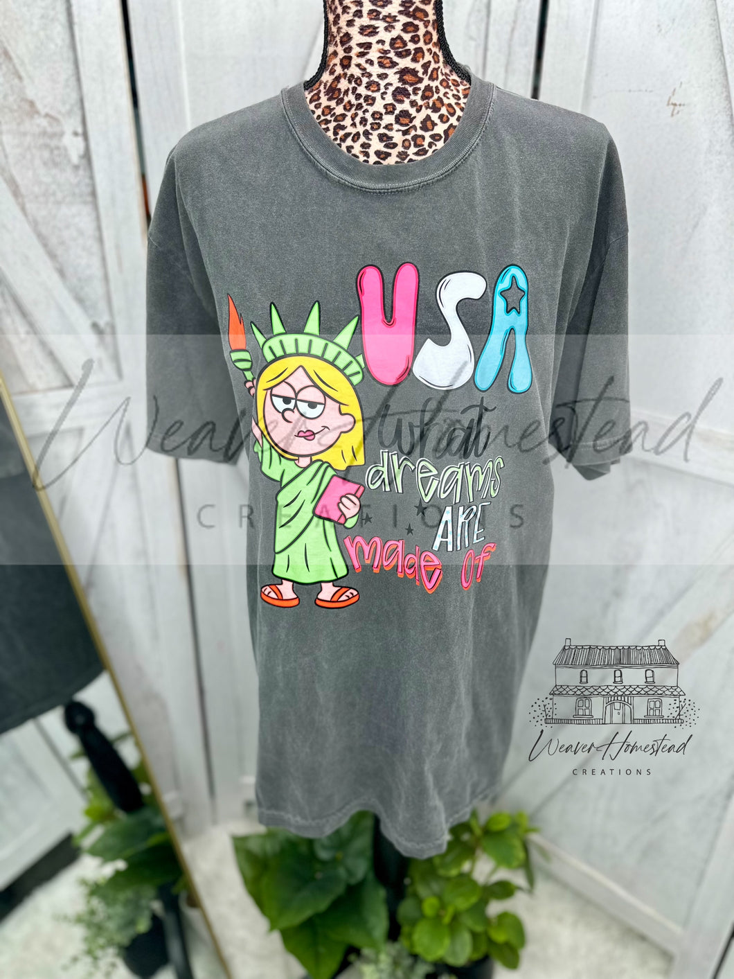 USA What Dreams Are Made Of Lizzie McGuire DTF
