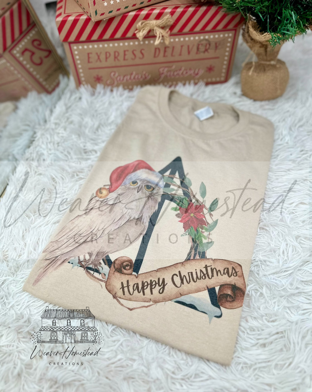 Hedwig Happy Christmas