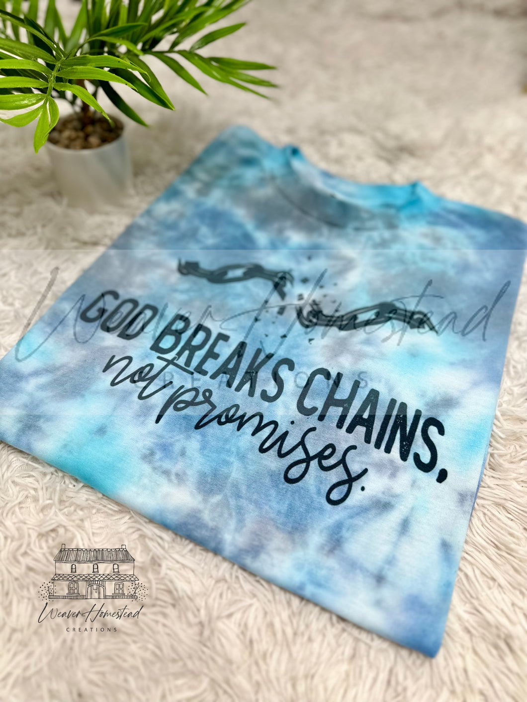 God Breaks Chains Not Promises