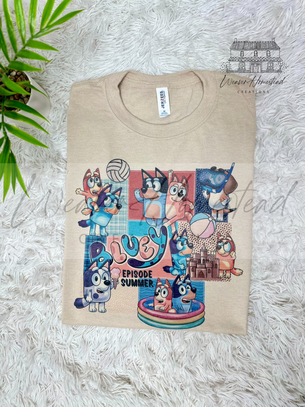 Bluey The Summer Episode