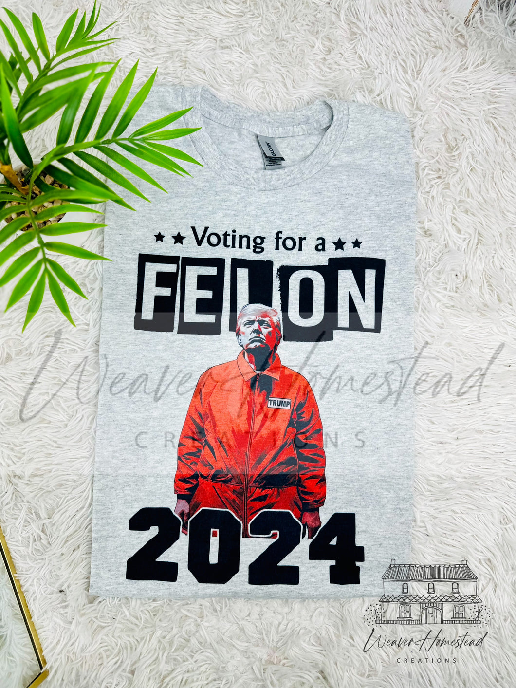 Voting For A Felon 2024