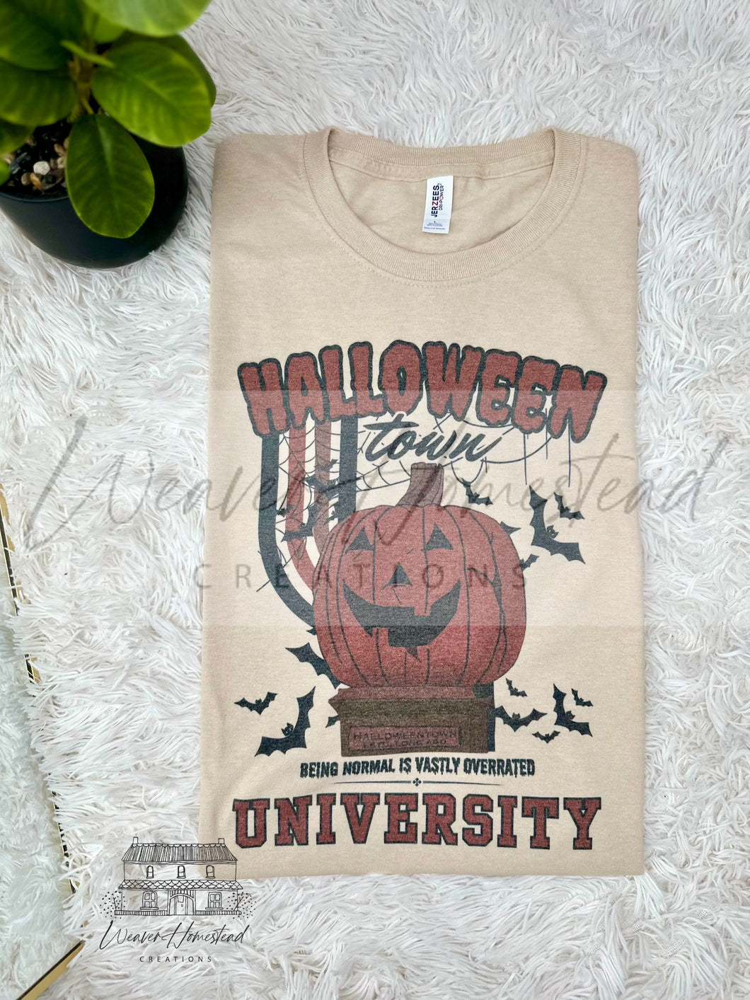 Halloweentown University