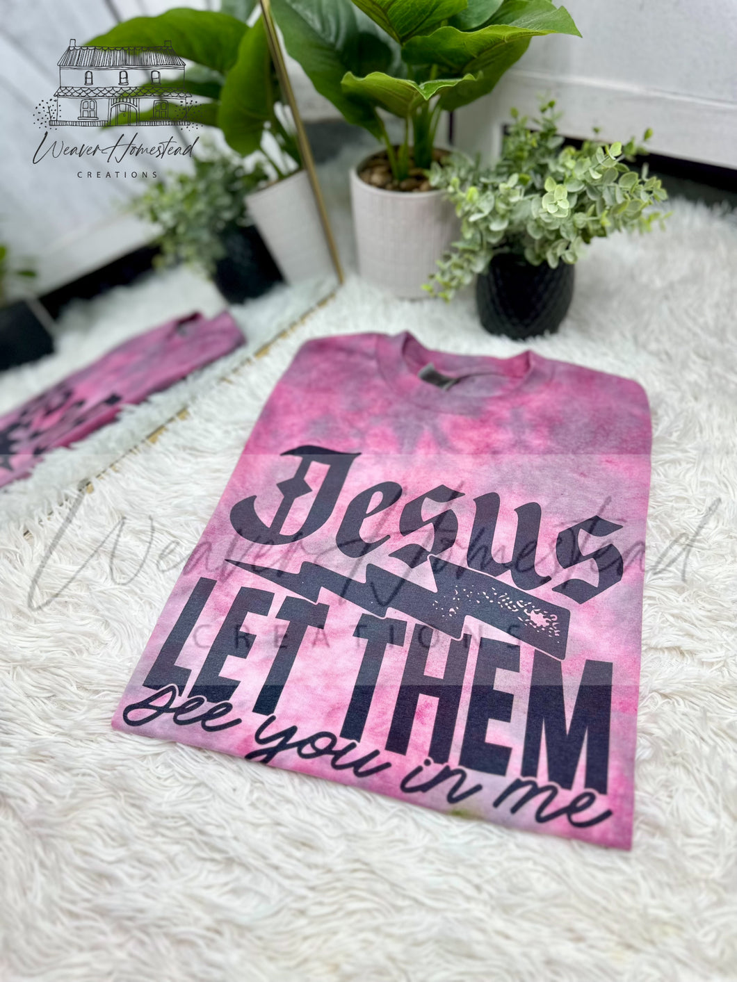 Jesus Let Them See You In Me