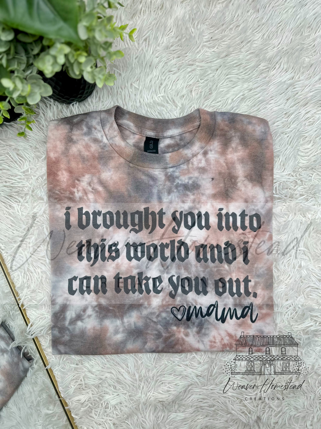 I Brought You Into This World