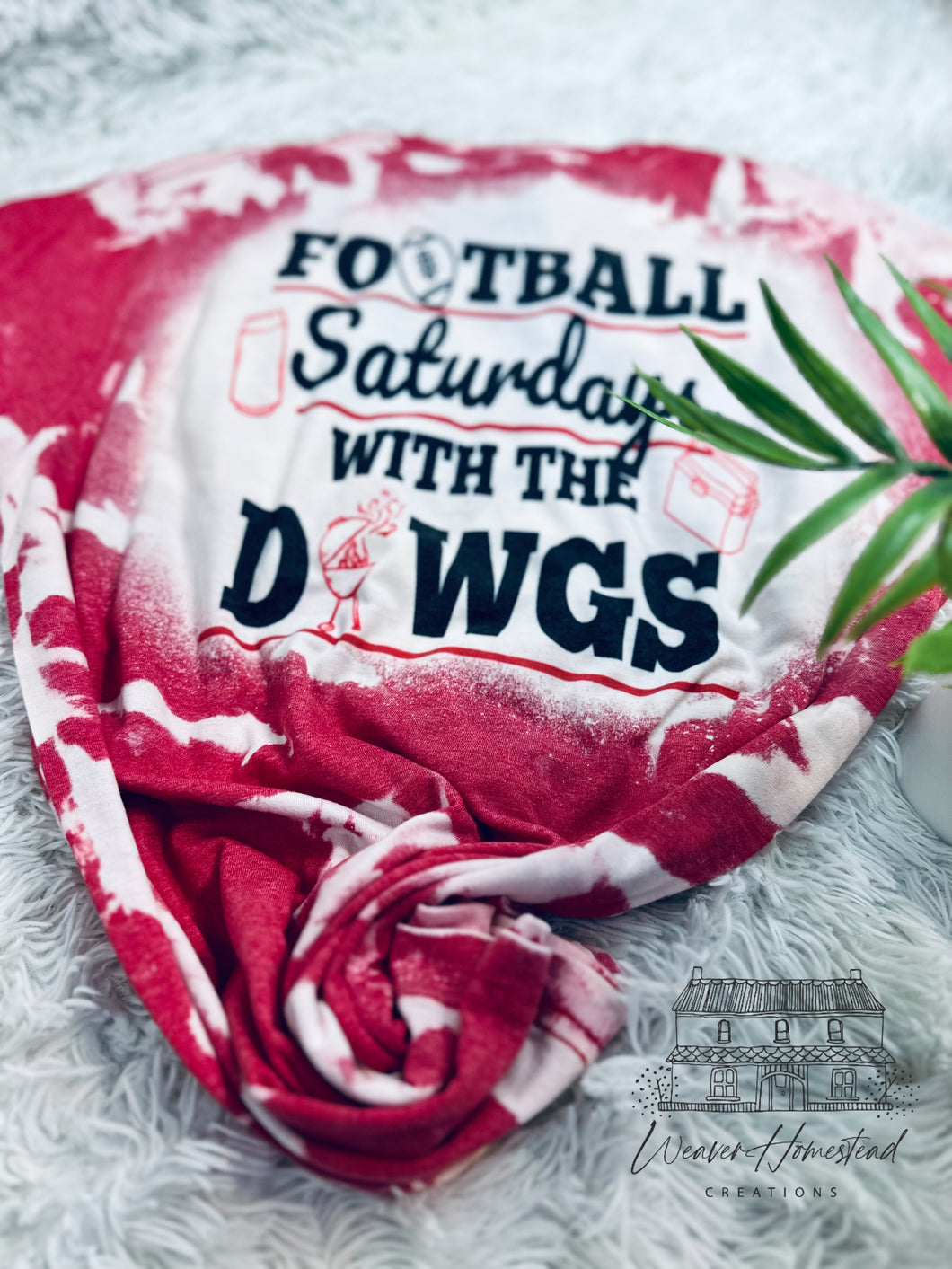 Football Saturdays With the DAWGS
