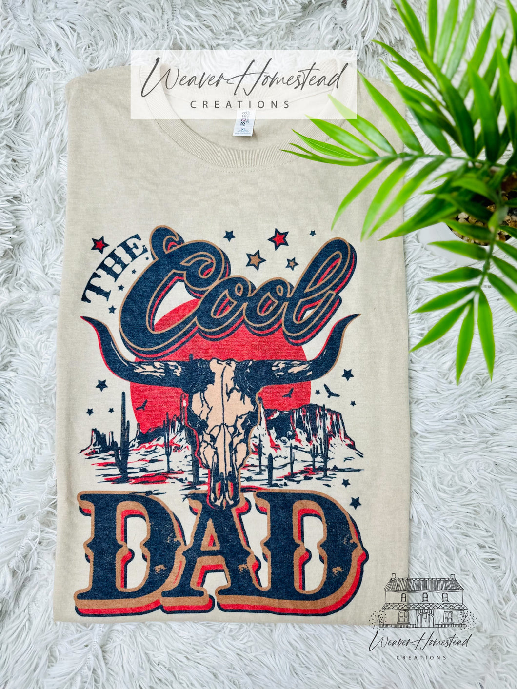 The Cool Dad