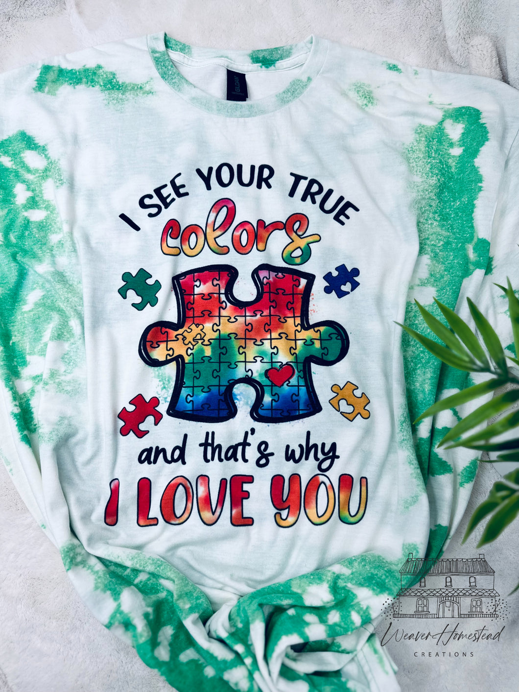 I See Your True Colors : Autism