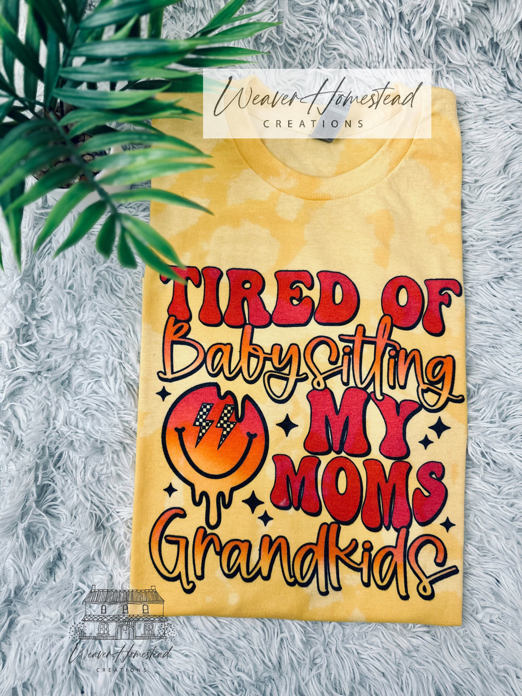 Tired Of Babysitting My Moms Grandkids