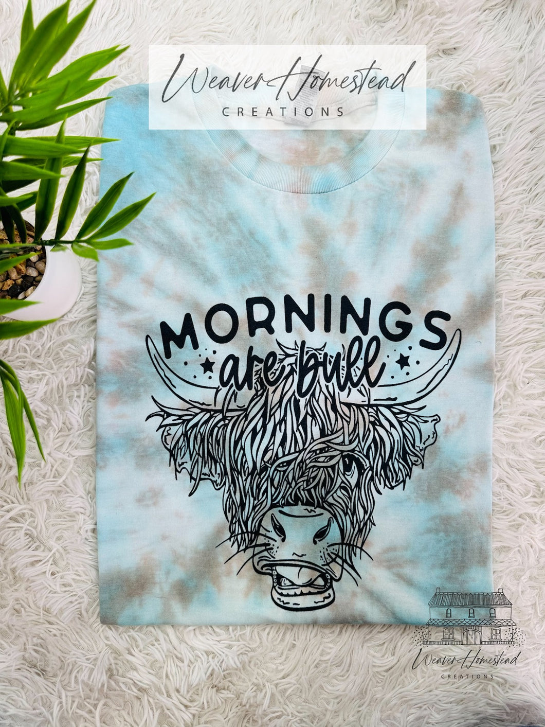 Mornings Are Bull