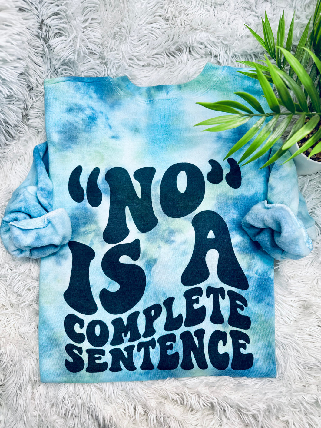 No Is A Complete Sentence
